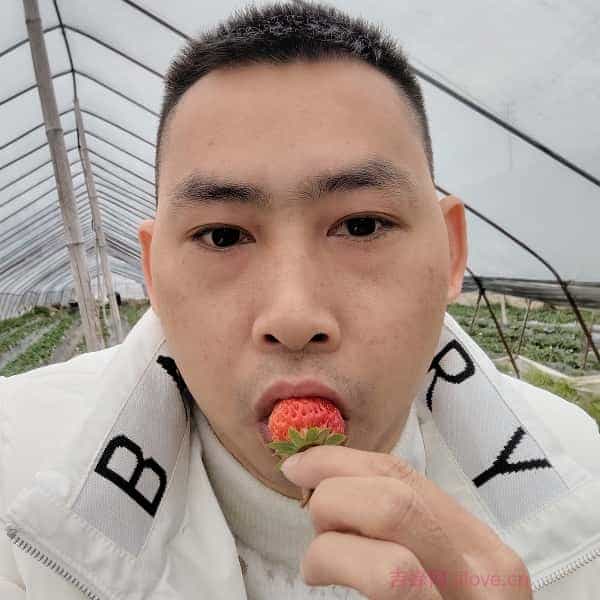 淮安征婚相亲网
