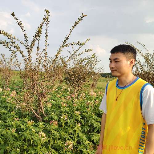 37岁岁广东单身帅哥 - 淮安吉缘网